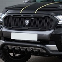 Raptor Style Predator mesh grille in matte black