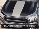 Raptor styling stripes